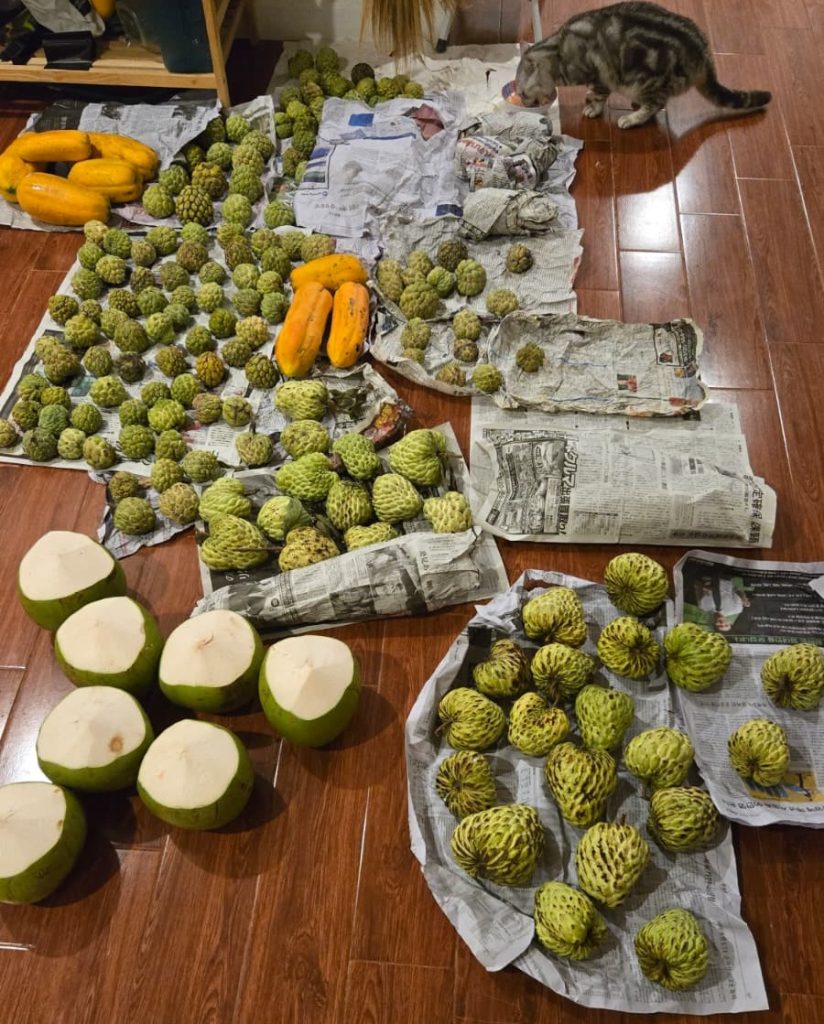 fruit at home